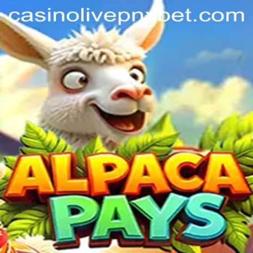 Exploring AlpacaPays and its Rise in PNXBet Live Casino